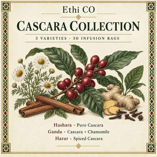 Ethi CO Cascara Collection botanical illustration: Hashara, Ganda and Harar; 3 varieties, 30 infusion bags.