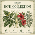 Ethi CO Koti Collection botanical illustration: Pure Koti, lemongrass, hibiscus and eucalyptus; 4 varieties, 40 infusion bags.